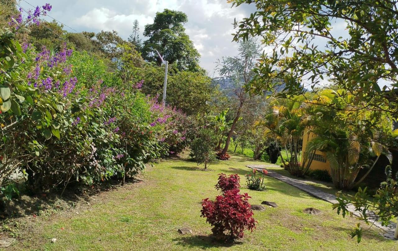 Jardin Utopia Bagian luar foto
