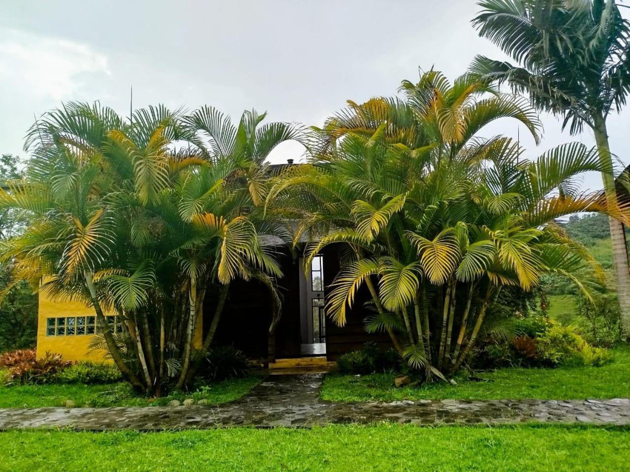Jardin Utopia Bagian luar foto